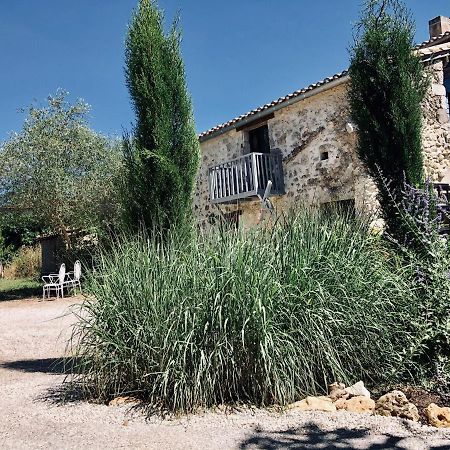 Le Gite De La Maison Des Chats - Gite En Quercy Saint-Amans-du-Pech Buitenkant foto