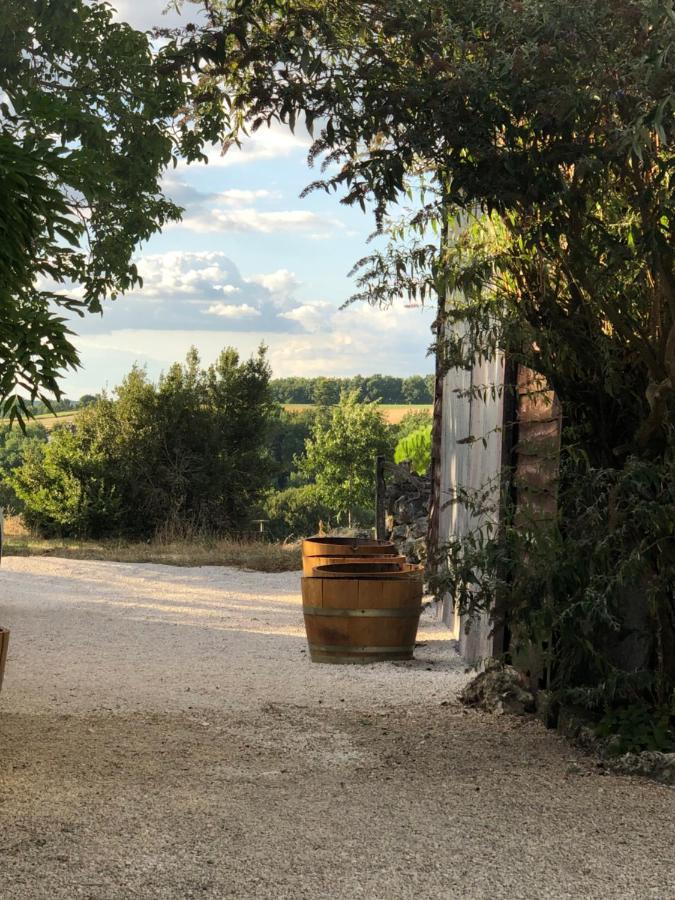 Le Gite De La Maison Des Chats - Gite En Quercy Saint-Amans-du-Pech Buitenkant foto
